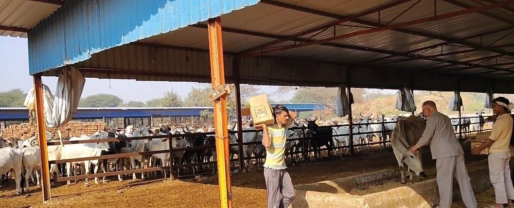 Donated 21 thousand rupees to the cow shelter