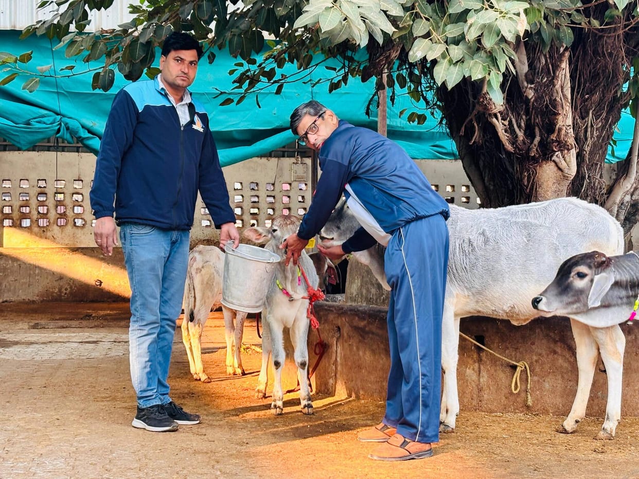 BSF adopts two cows on its foundation day
