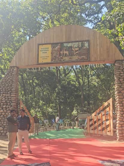 360-degree rotating cameras will monitor the forest