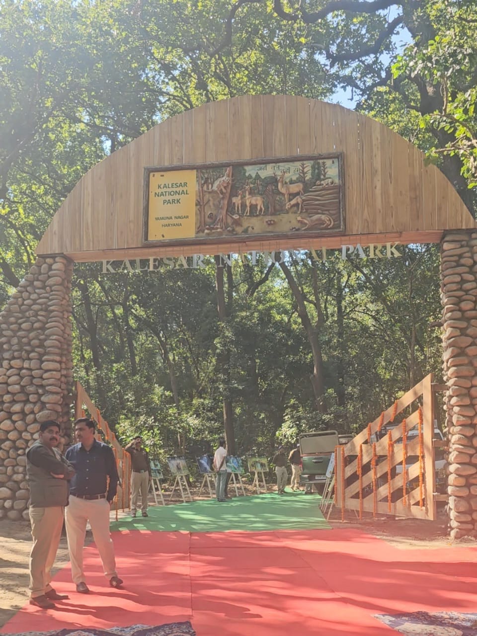360-degree rotating cameras will monitor the forest