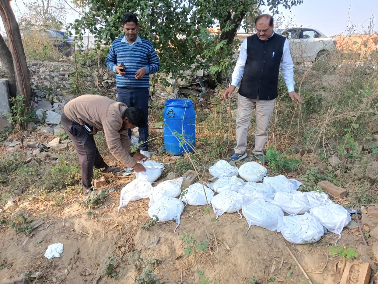Establishment making substandard cheese sealed