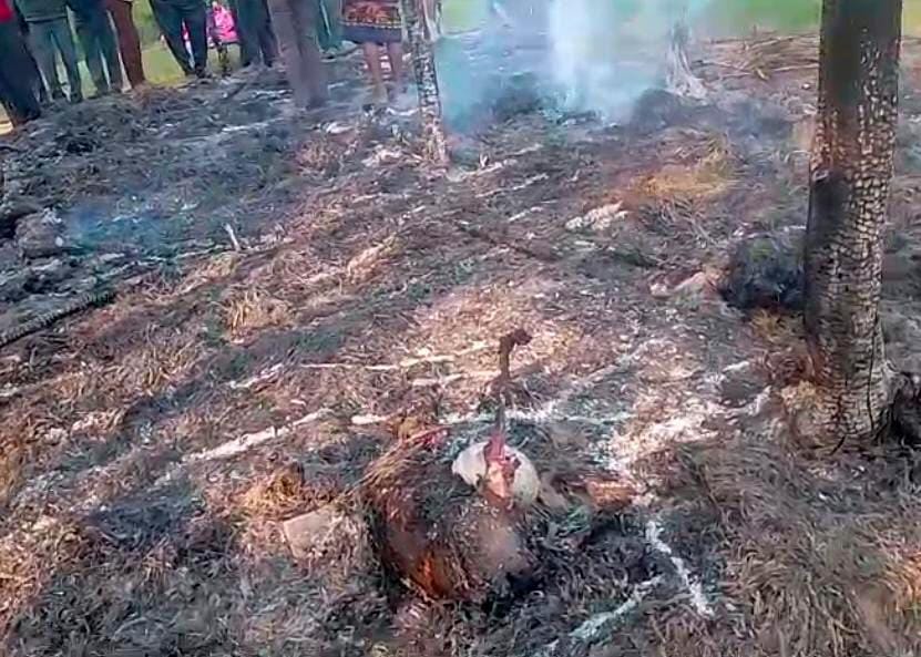Fire breaks out in hut, eight goats die