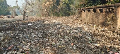 Bushes have grown in the dumping ground, and the risk of disease is high due to open garbage dumping.