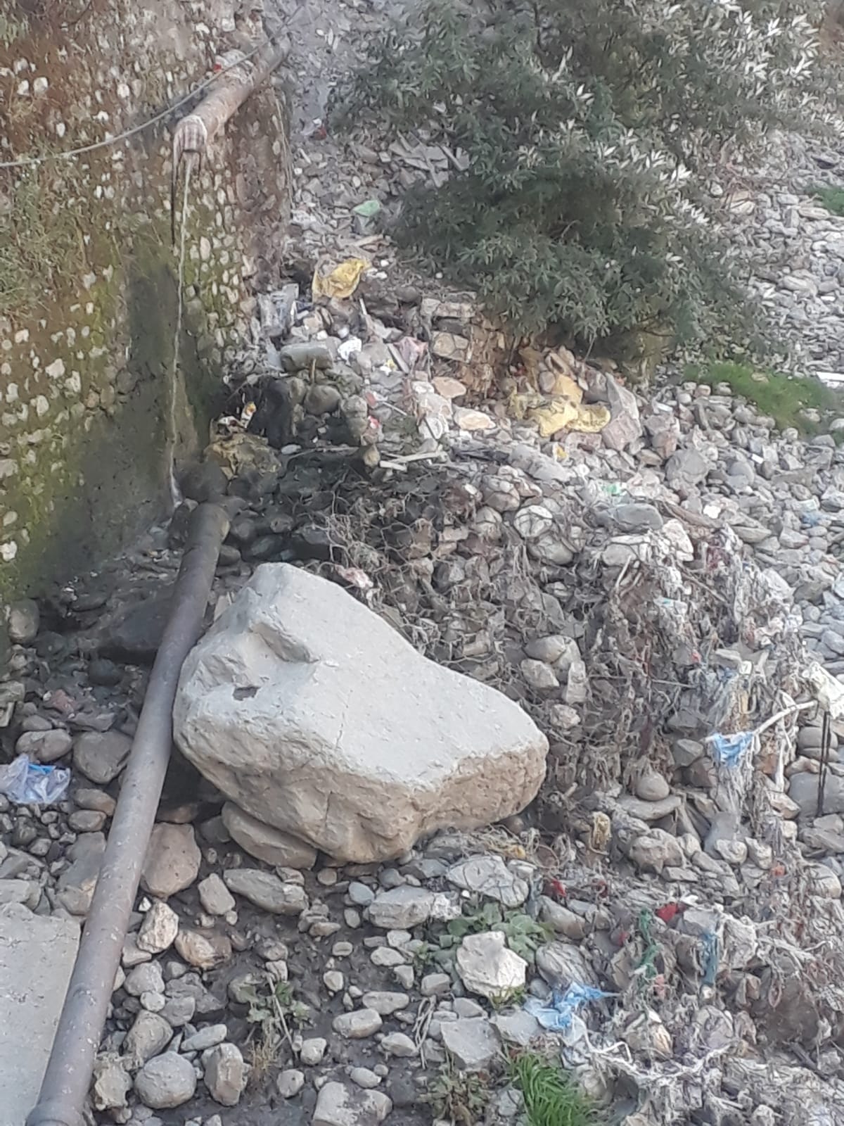 Sewerage lines were damaged due to floods, and sewage has been flowing into the Beas River for three months.