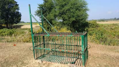 The animal that attacked the infant could not be identified