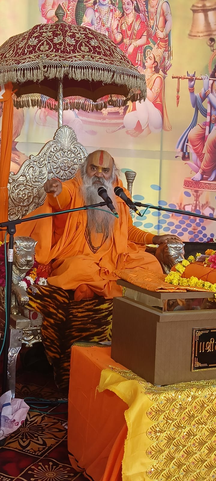 The body wants happiness, the soul wants peace: Jagadguru Ramswarupacharya