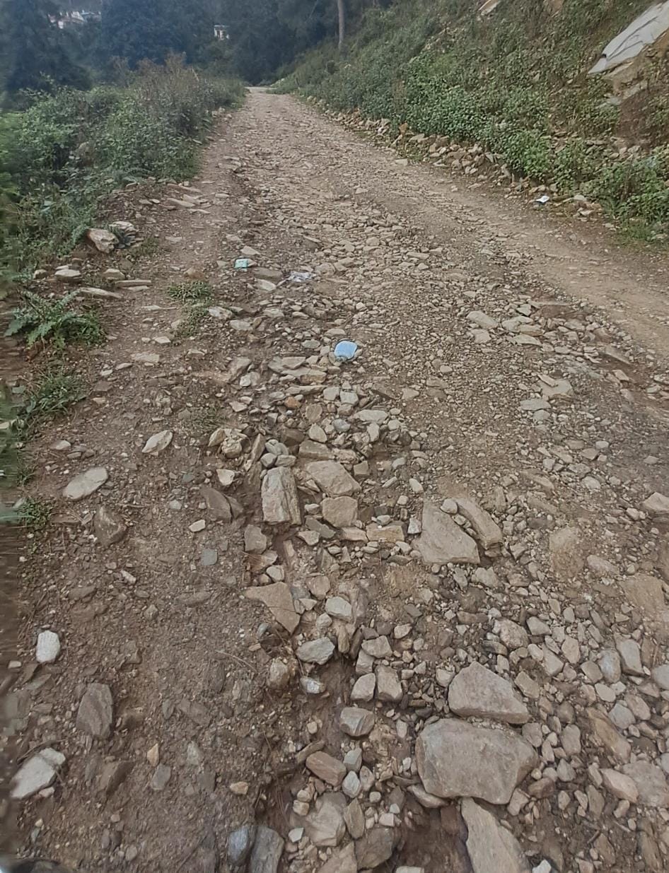 Do something sir...roads are only on paper, people are fleeing due to the fear of wild animals