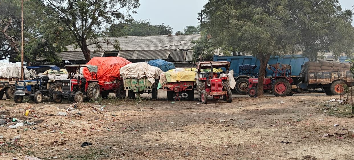Uproar at Galla Mandi procurement centre, allegations of weighing with fake numbers
