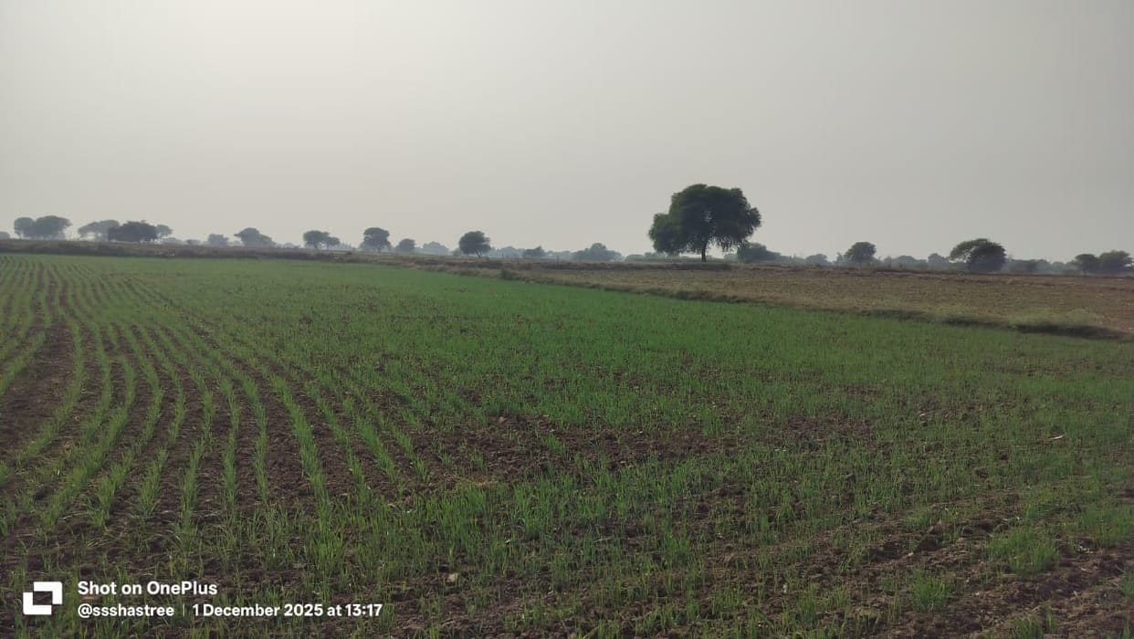 Bund closure on paper on the crop field in Pathretha