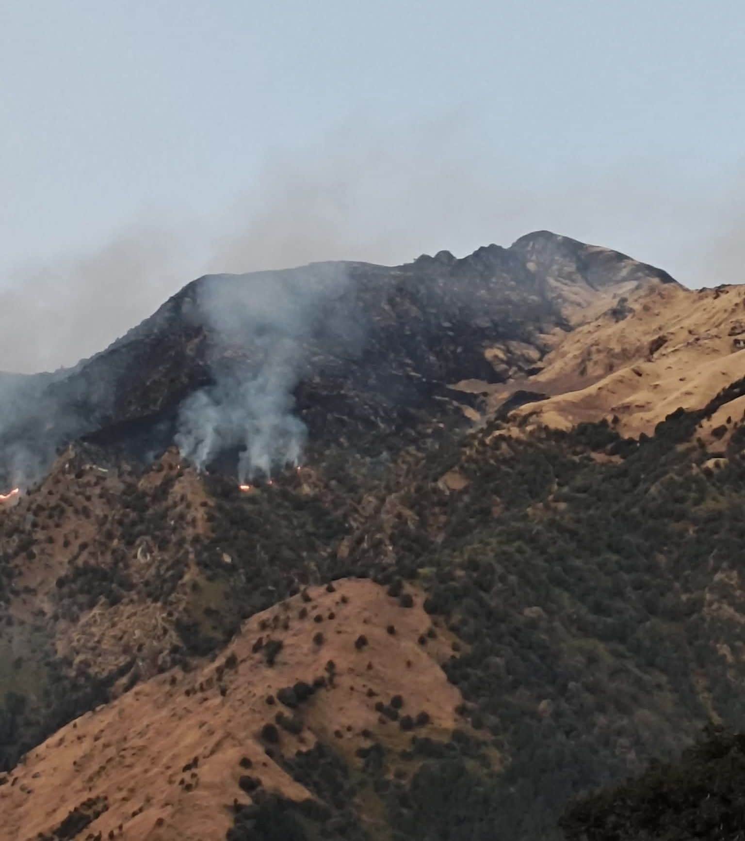 मुनस्यारी में खलिया बुग्याल के जंगल से उठता धुंआ और काली पड़ी पहाड़ी। स्रोत:वन विभाग