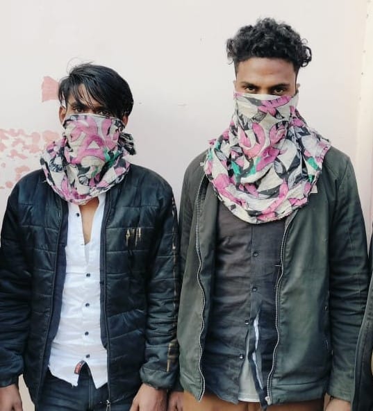 Three people were caught while conspiring to slaughter cows, one accomplice is absconding