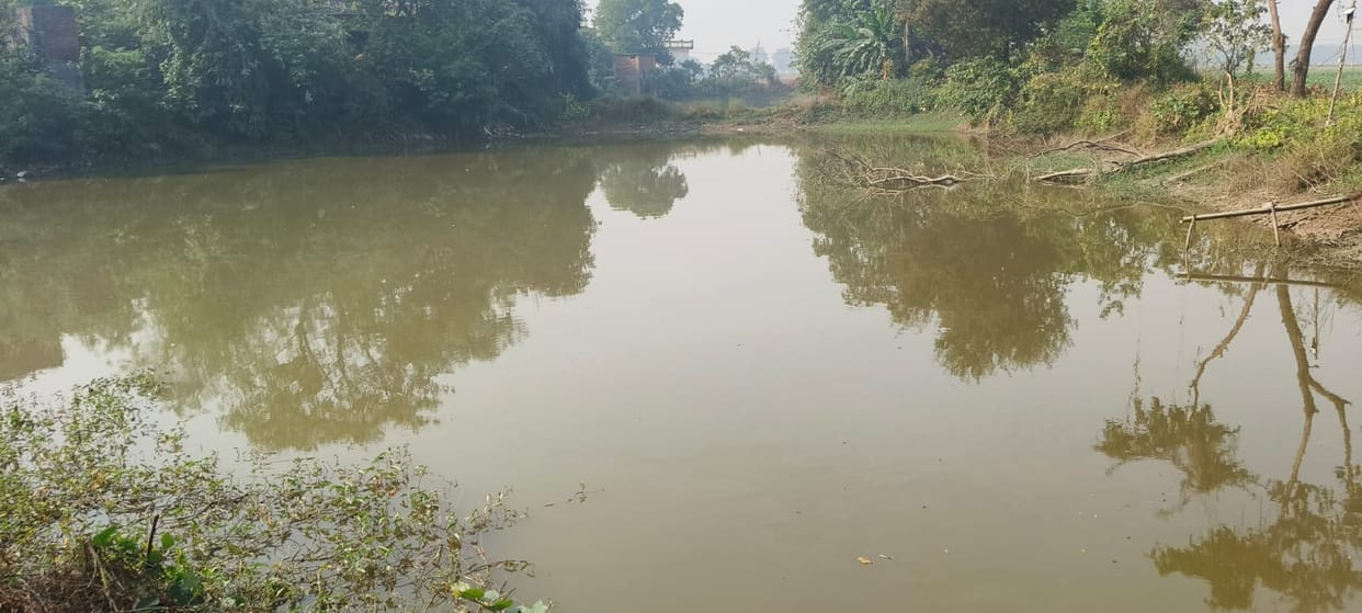 Eight lakh rupees spent, 'poison' is accumulating in Amrit Sarovar