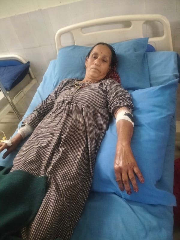 A wild boar entered a cowshed in Ambag and attacked a woman.