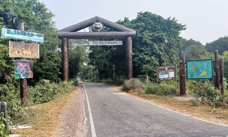UP: Tour package launched for Dudhwa Jungle Safari