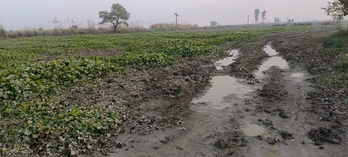 Khadar farmers in trouble after floods