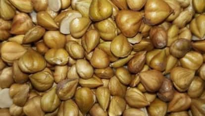 Thangi prices have risen by Rs 700 in a year, leaving Pangi residents in a fix.