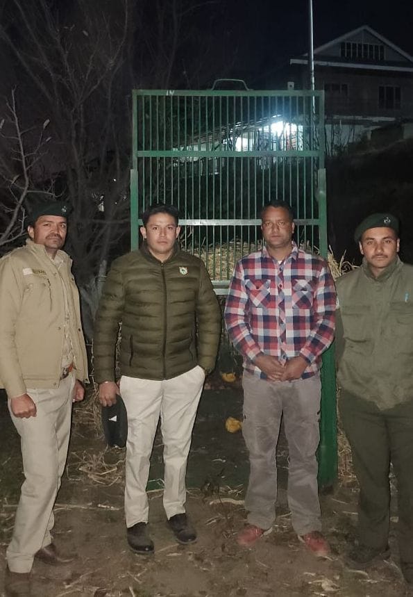 A cage has been set up to capture the bear in Sanei village of Nogvalley