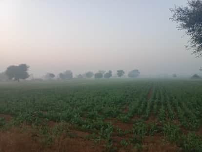 Mahendragarh had the coldest night in the state, with a temperature of 3.7 degrees Celsius.