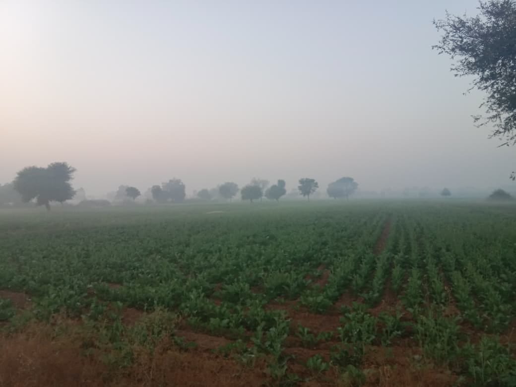 Mahendragarh had the coldest night in the state, with a temperature of 3.7 degrees Celsius.