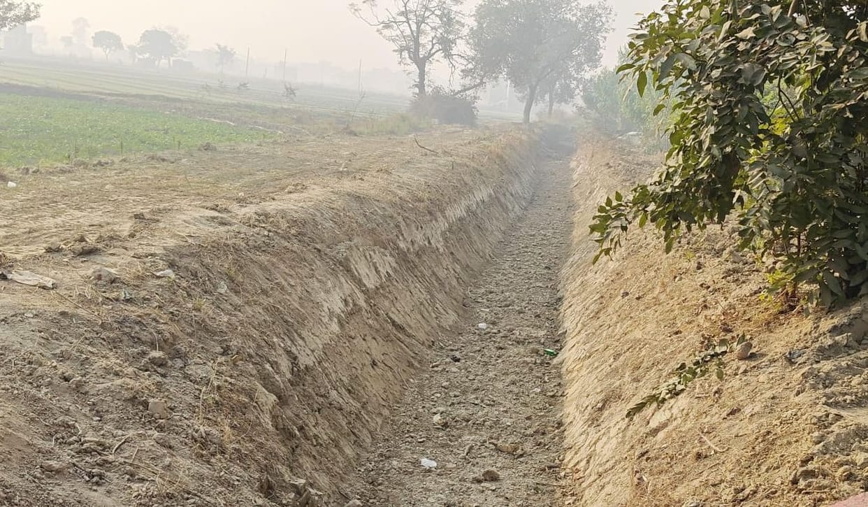 Farmers yearn for irrigation due to lack of water in Banupura canal