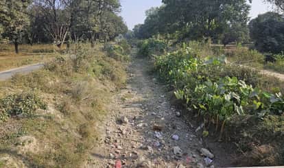 There is no water in the canals for a month, farmers are yearning for irrigation.