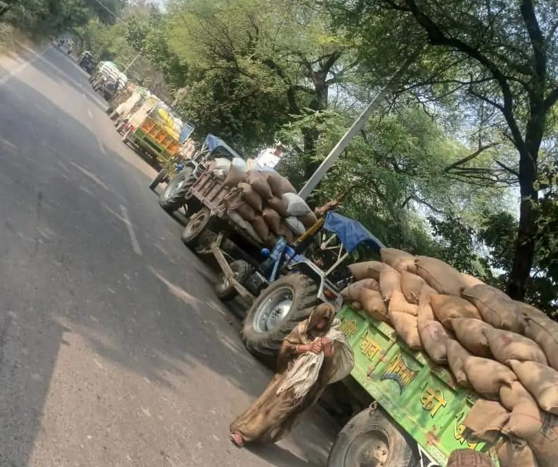 Farmers are lining up at millet procurement centers