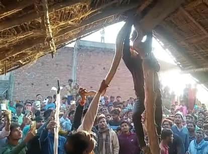 A python climbed onto a hut and was caught by forest officials