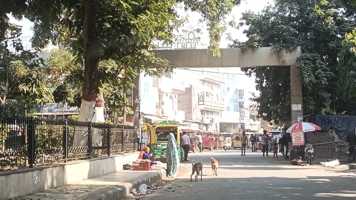 Now the corporation will build four shelters with a capacity of 1,000 dogs.