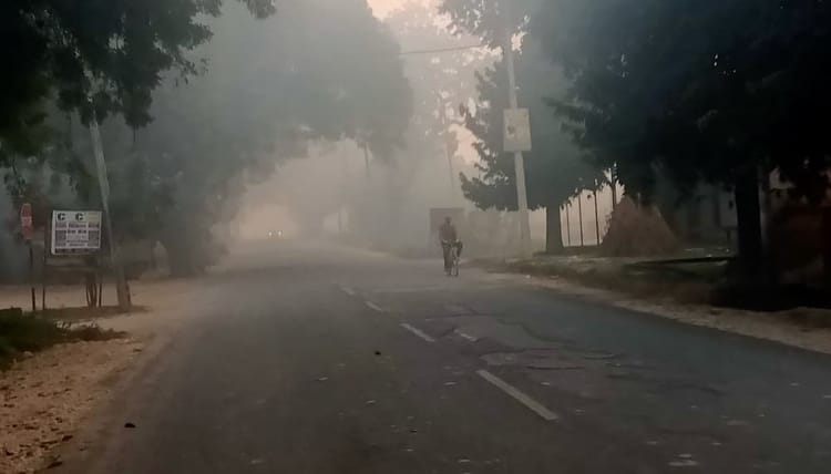 Bihar Weather: पछुआ हवा ने बढ़ाई कनकनी, आठ डिग्री तक पहुंचा पारा; कोहरे के कारण कई ट्रेनें लेट, कुछ कैंसिल