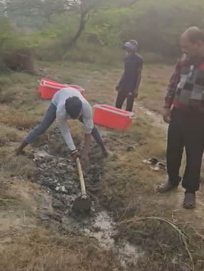 Factory shut down after finding substandard cheese