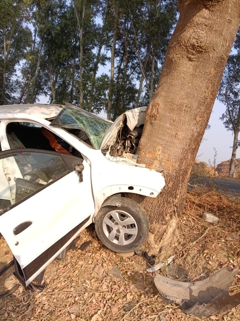 Uncontrolled car hits tree, groom's brother and sister-in-law die