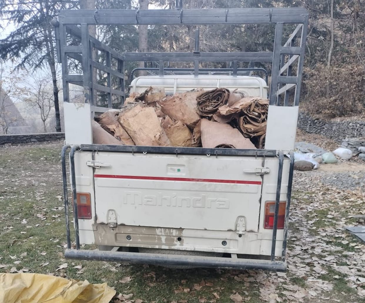 A cargo vehicle loaded with birch bark was caught in Bada Bambol.