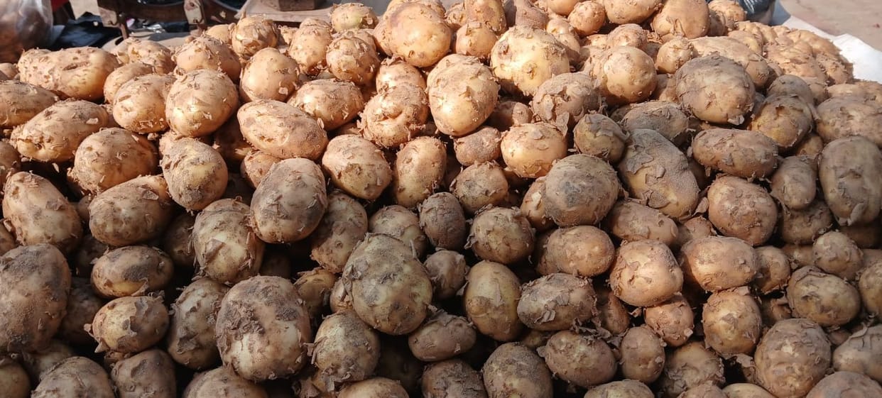 Falling potato prices are increasing farmers' worries.