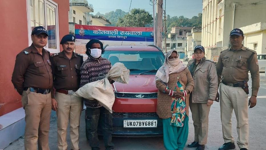 Couple arrested with 14 turtles