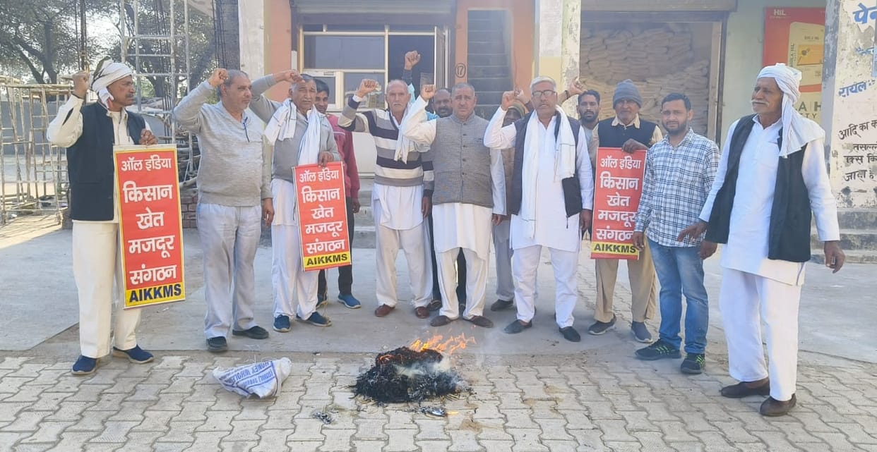 Copies of the Seed Bill and the Electricity Amendment Bill were burned.