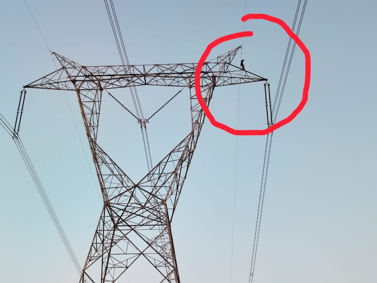 Then a mentally disturbed youth created a drama by climbing an electricity tower
