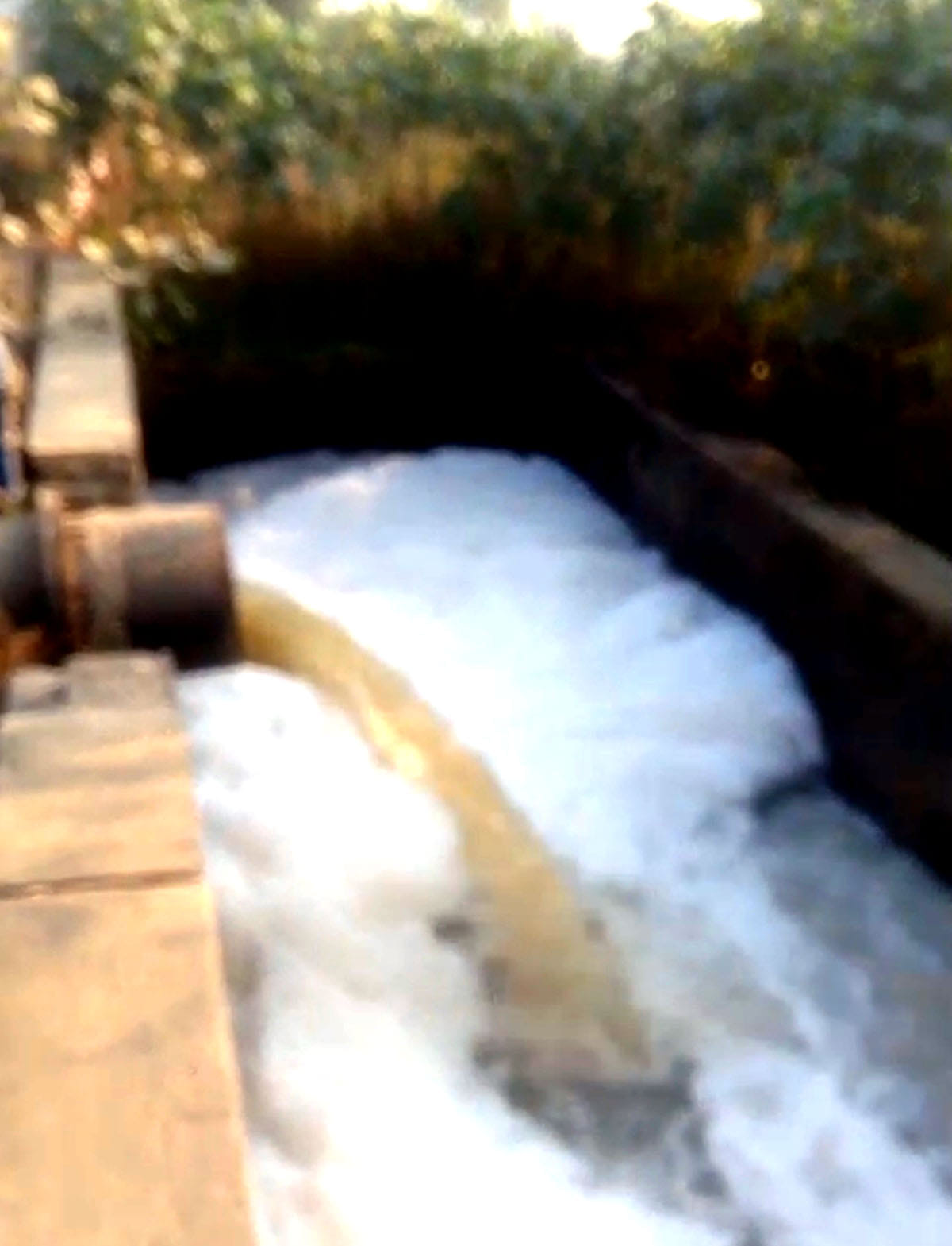 Contaminated STP water in Sirsa Branch Canal, playing with health