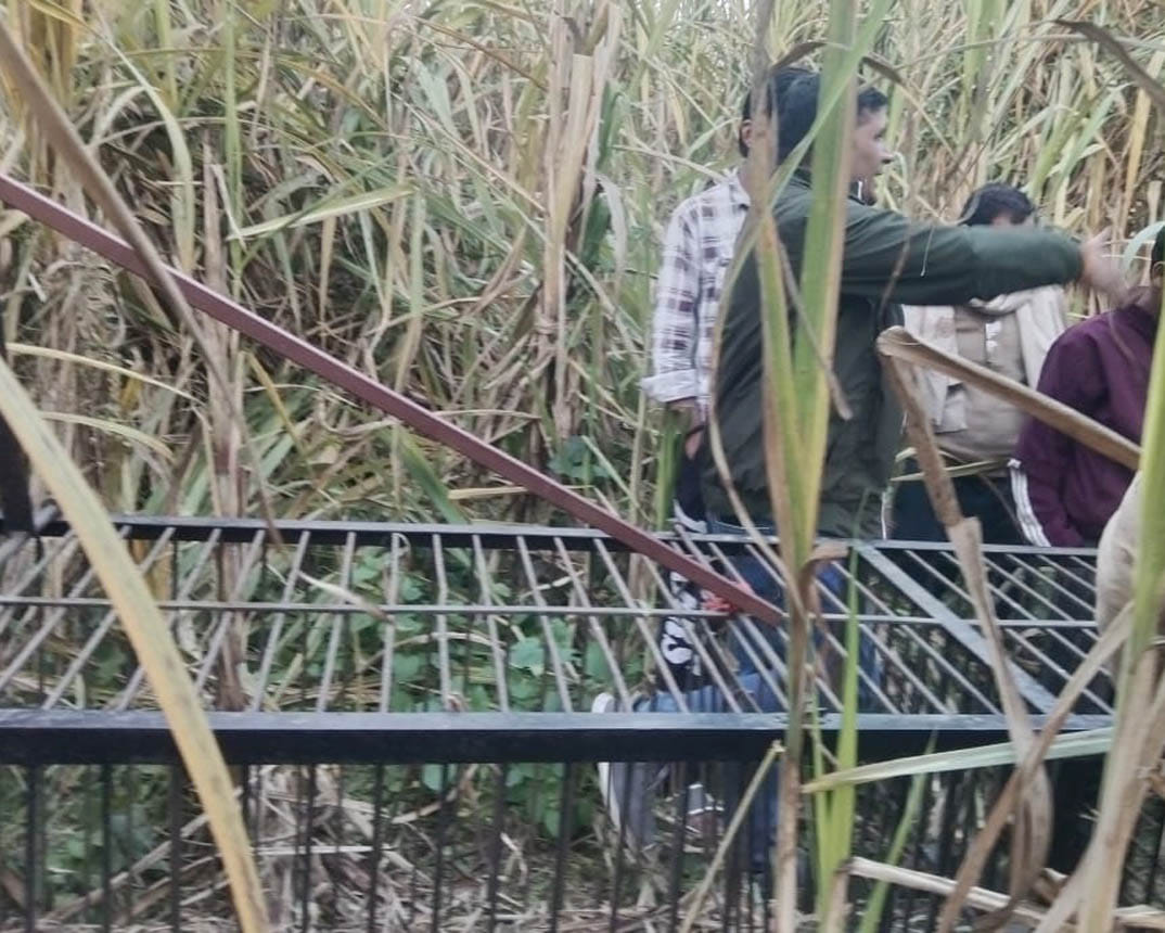 Panic due to leopard sighting in Ramraj Khadar