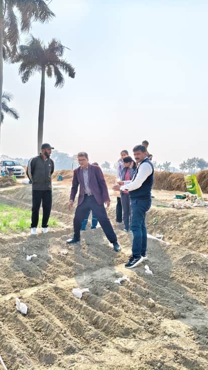 Scientists working to develop new wheat varieties that can tolerate high temperatures