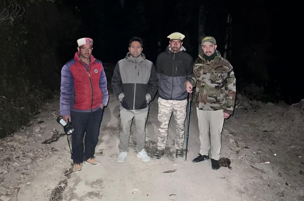 Inspection begins to stop illegal felling in Pangi