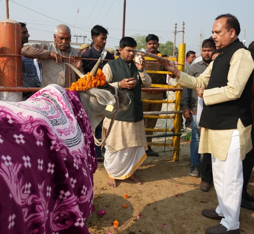 Cow shelters are the basis of livelihood, organic farming and social harmony: Ranu