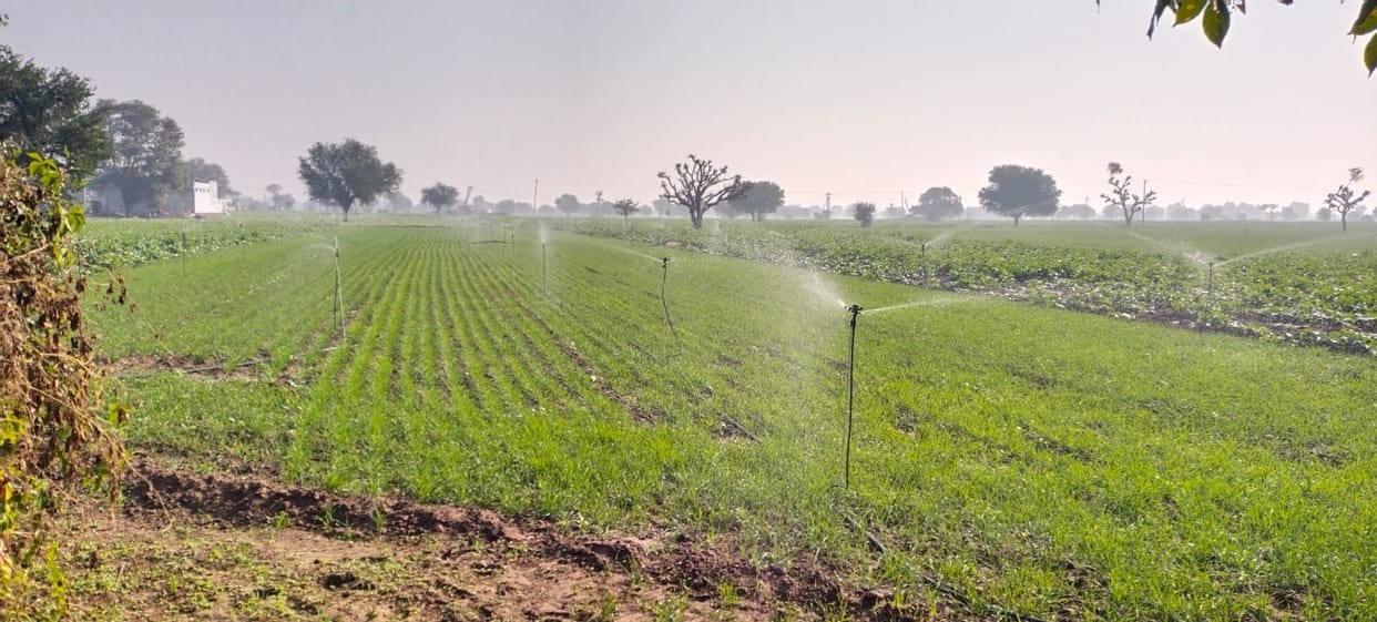 Weather favorable for Rabi crops, suitable time for weed control