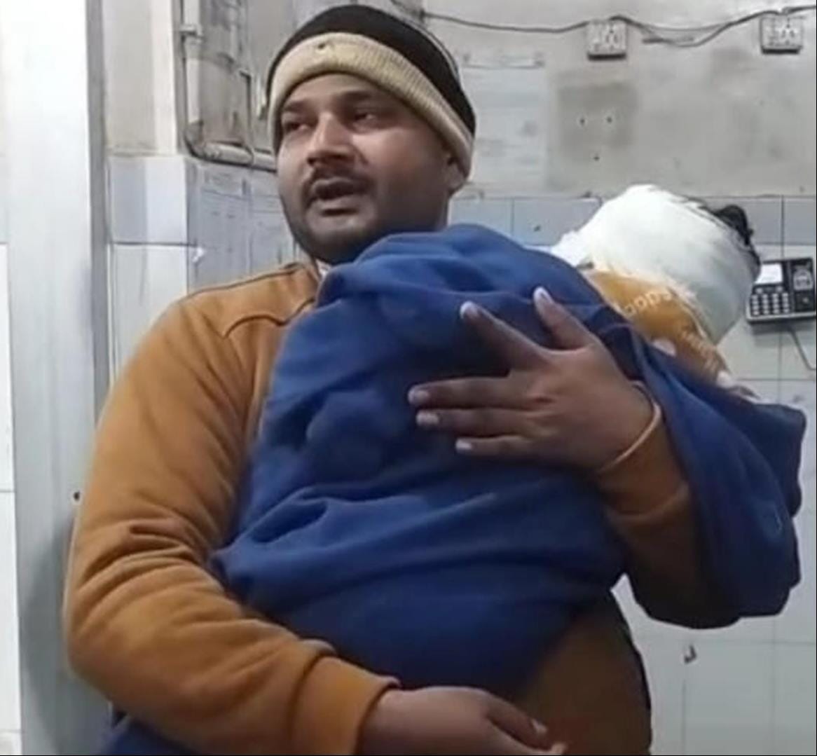 Dog scratched innocent child playing outside the house