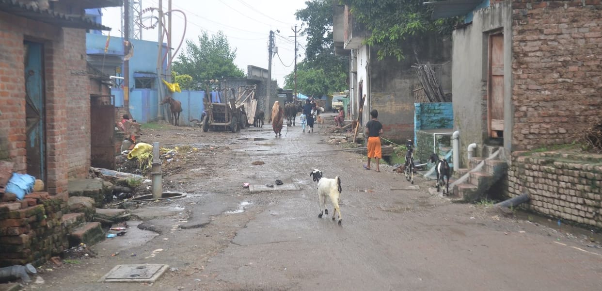 Smart road construction stalled due to SIR (Site Inspection Report).