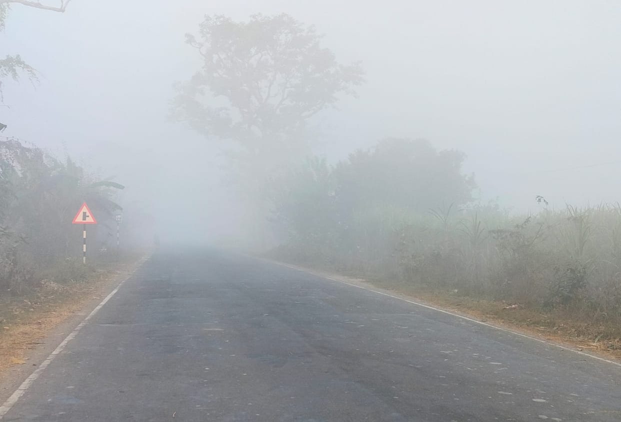 Fog blankets and icy winds increase chill