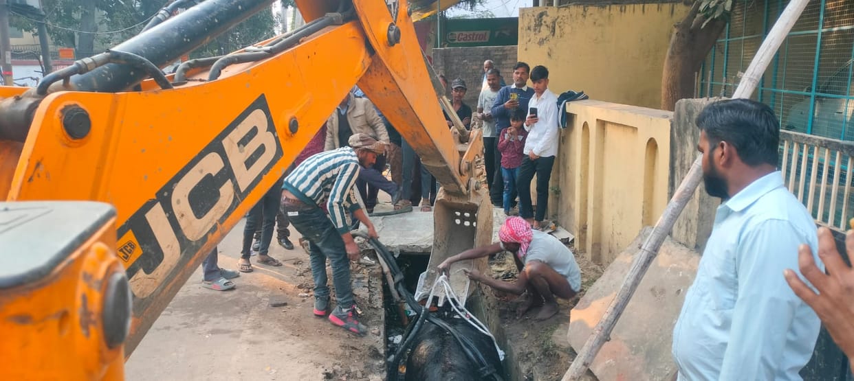 Cow falls into drain, sweat breaks out while being pulled out