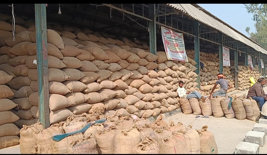 No space left for sacks at procurement centres, paddy procurement stalled