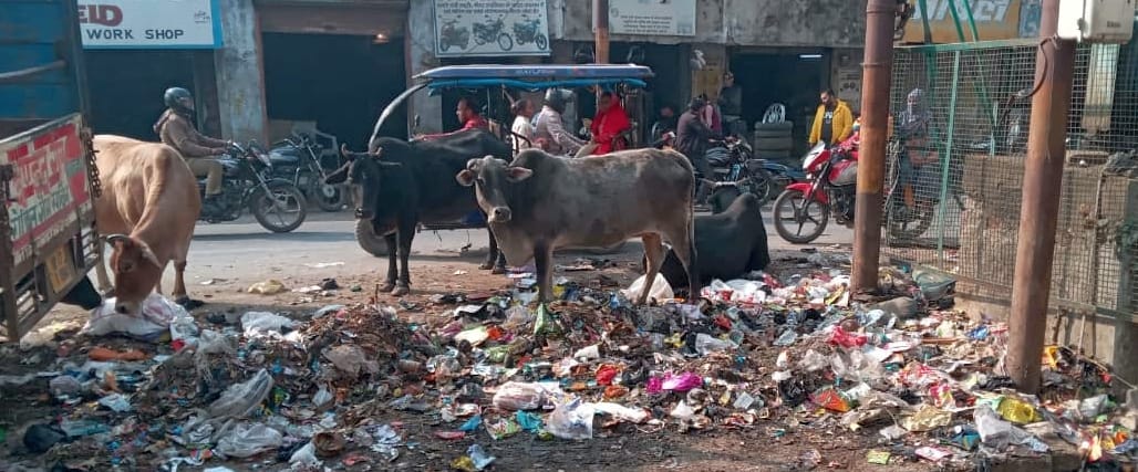 Garbage is being burned at the closed FRF center, and piles of waste are accumulating in the city.
