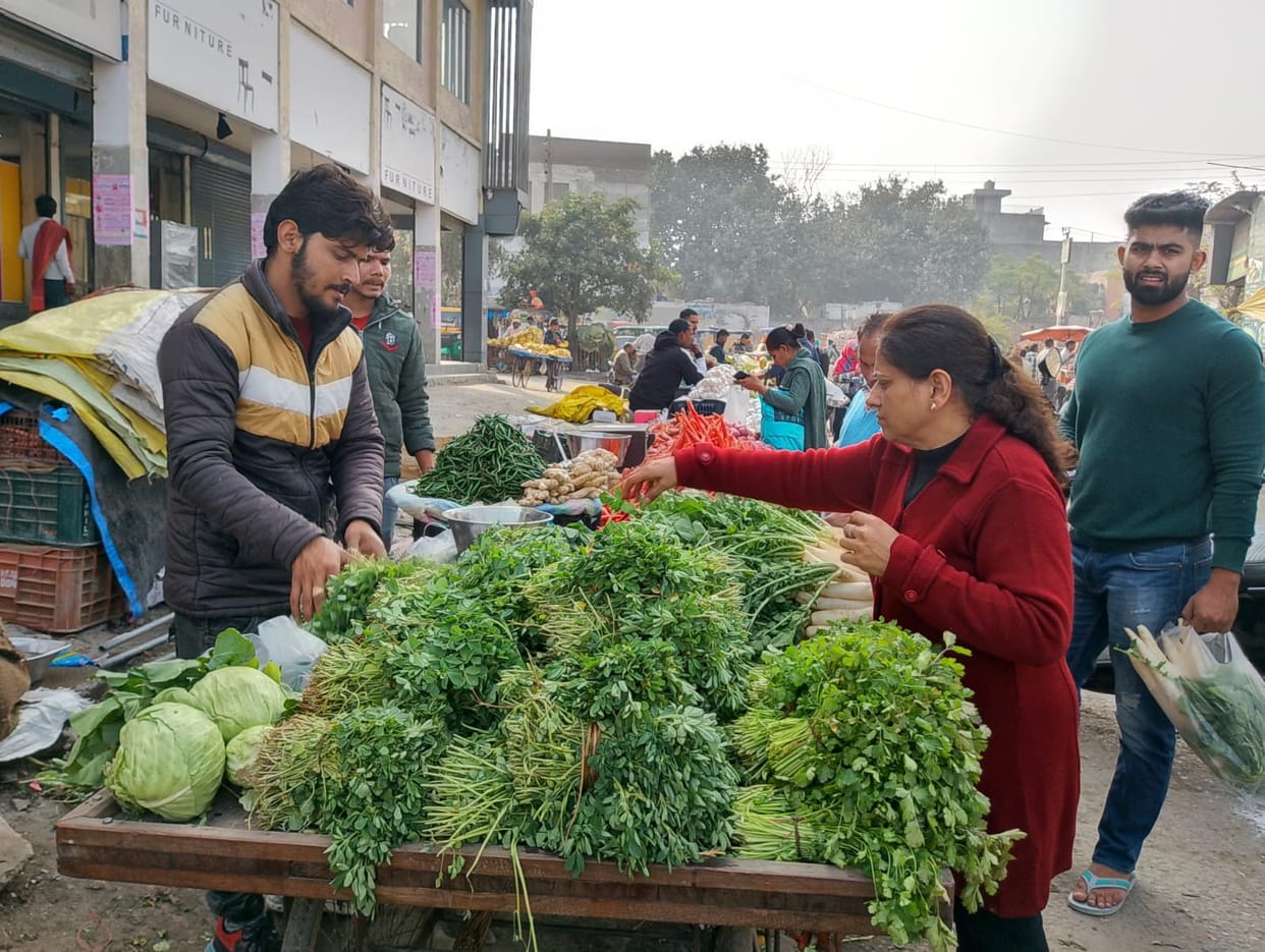 Helpless cows cause trouble in new vegetable market