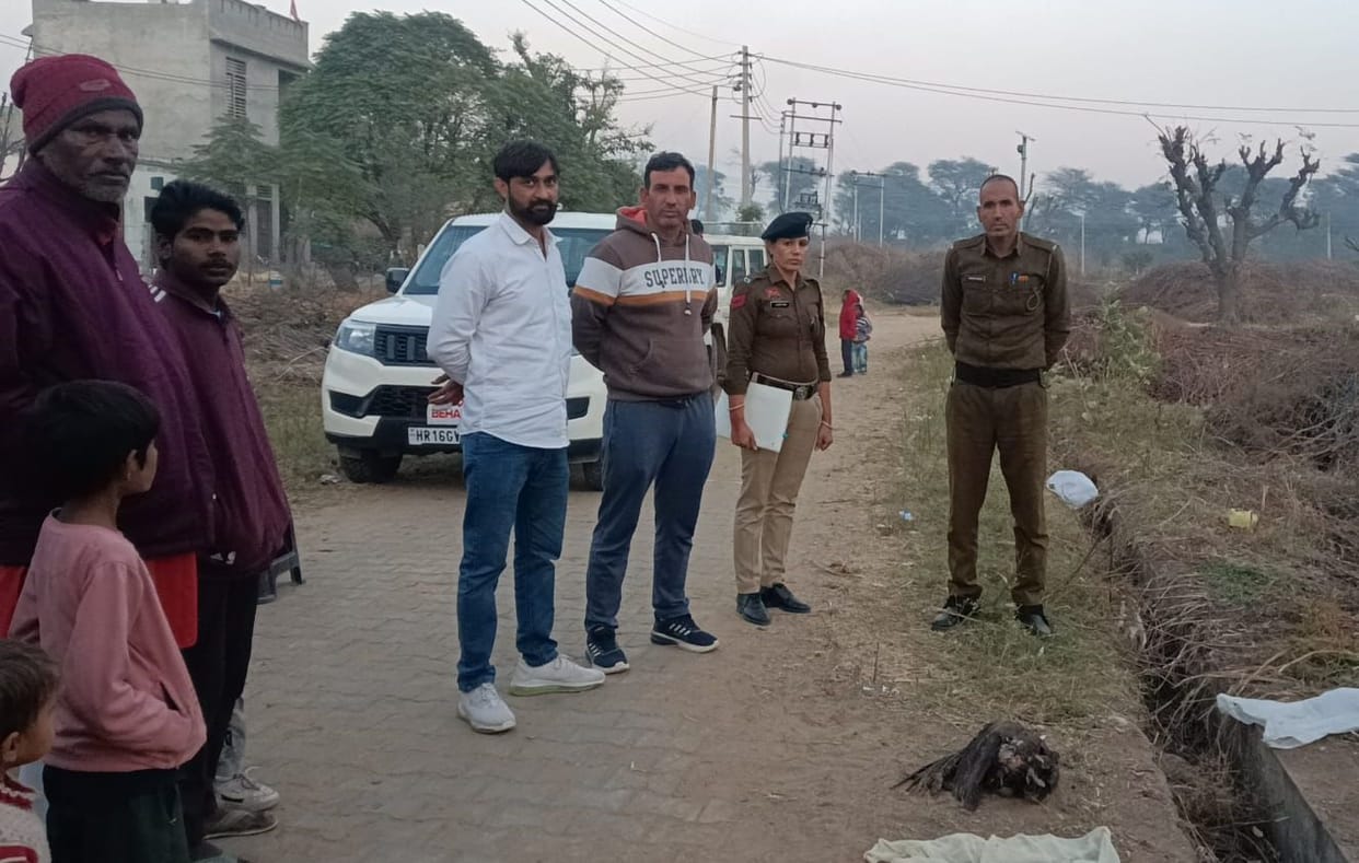 National bird peacock found dead on the roadside in Salempur